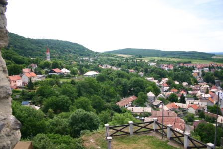 Fotogaléria Gaštan jedlý 1 (10) Gaštan jedlý 1